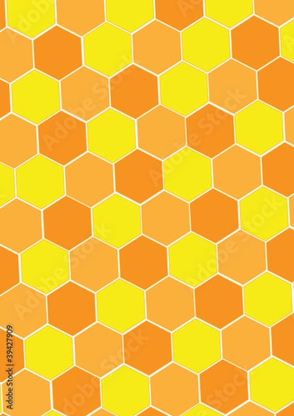 Fototapeta Honey bee net