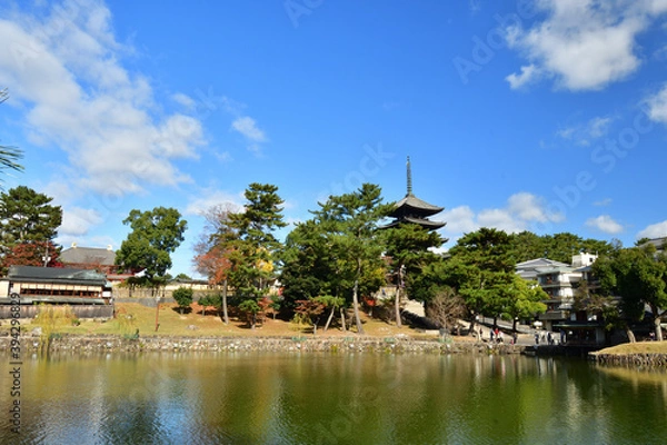 Fototapeta 奈良の秋の青空と猿沢池