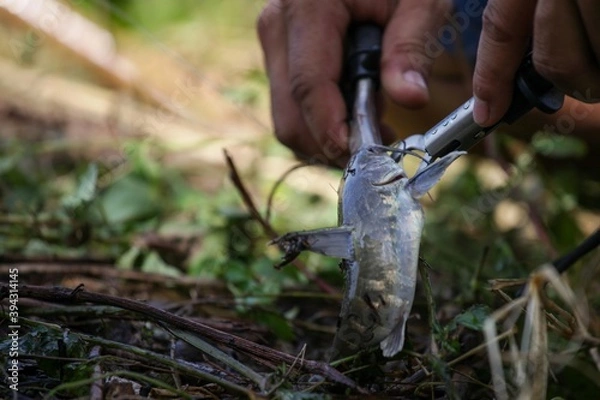 Obraz hand holding a hammer