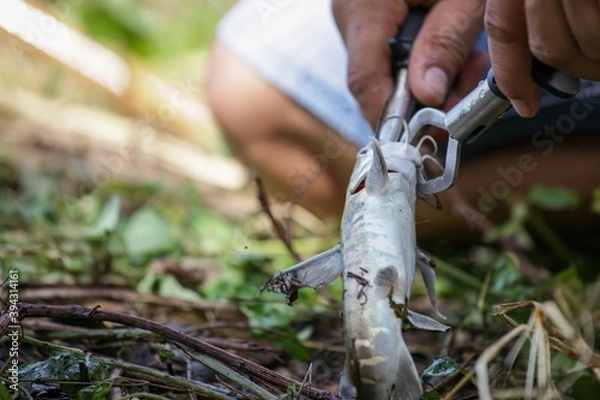 Obraz person climbing a rope