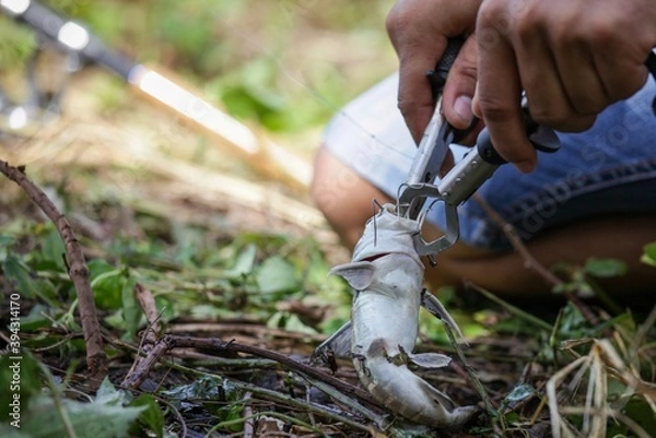 Obraz cutting the grass