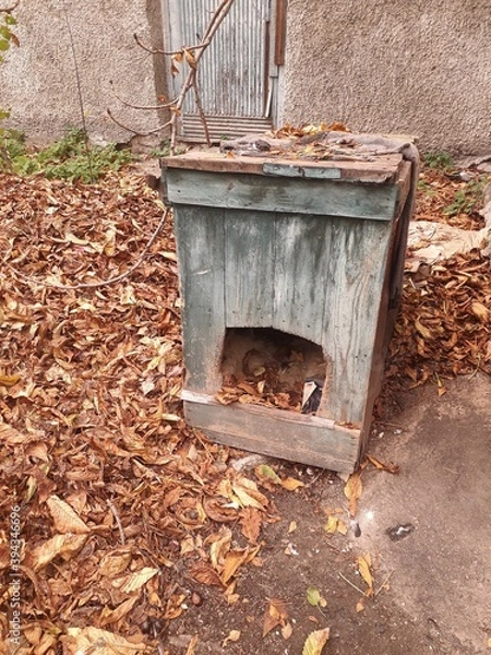 Obraz kennel for a large dog