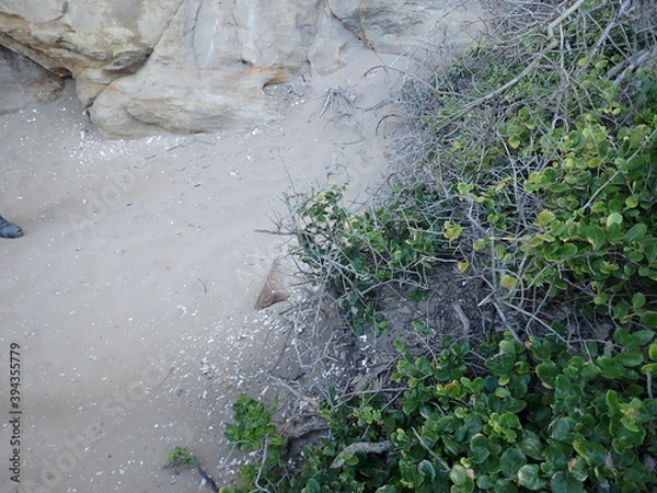 Obraz OLYMPUS DIGITAL CAMERA