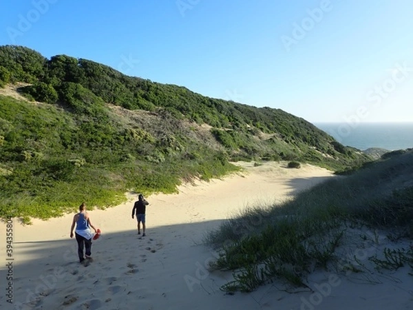 Fototapeta OLYMPUS DIGITAL CAMERA