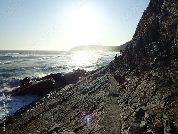 Obraz OLYMPUS DIGITAL CAMERA