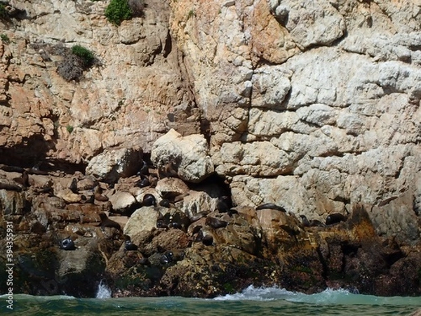 Obraz OLYMPUS DIGITAL CAMERA