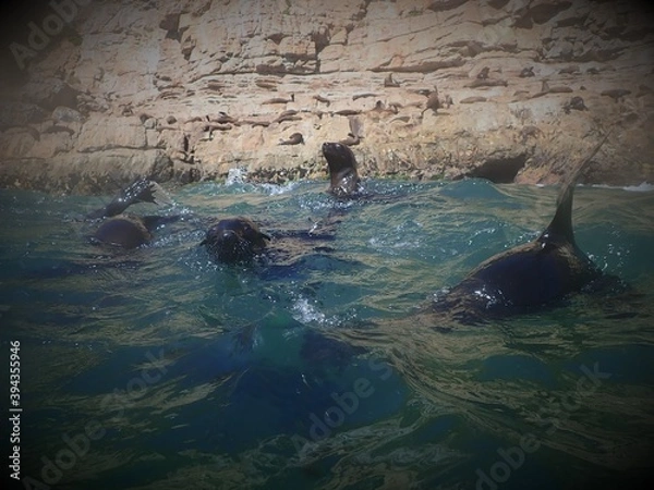 Obraz OLYMPUS DIGITAL CAMERA