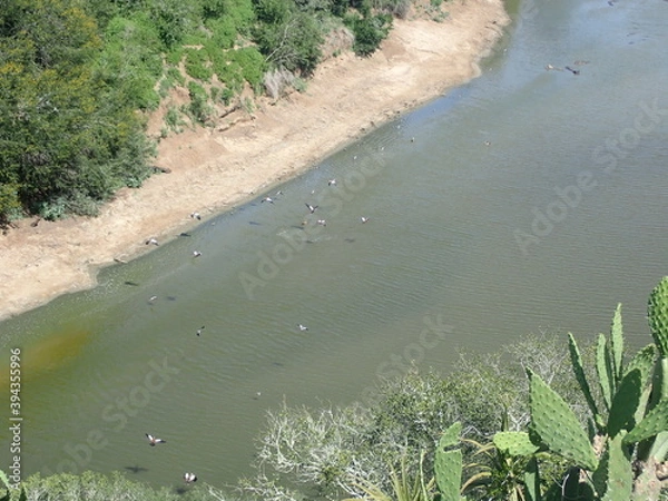 Obraz OLYMPUS DIGITAL CAMERA