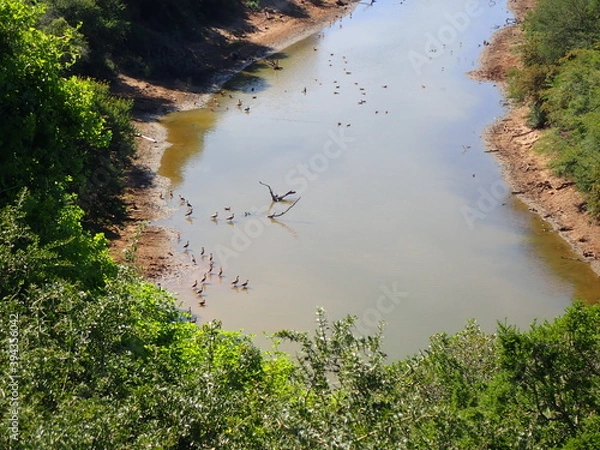 Obraz OLYMPUS DIGITAL CAMERA