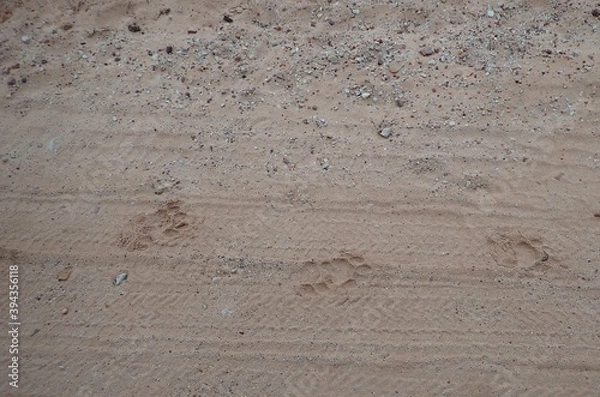 Obraz OLYMPUS DIGITAL CAMERA