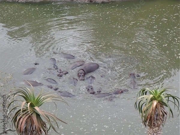 Obraz OLYMPUS DIGITAL CAMERA