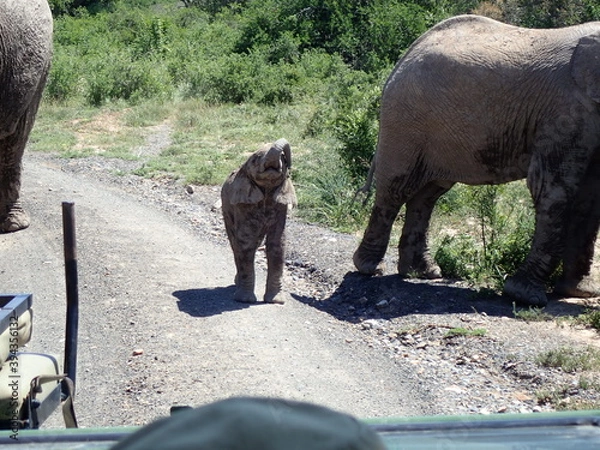 Obraz OLYMPUS DIGITAL CAMERA