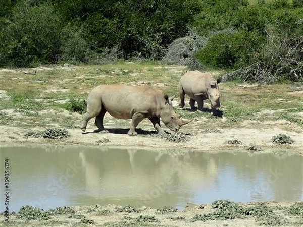 Obraz OLYMPUS DIGITAL CAMERA