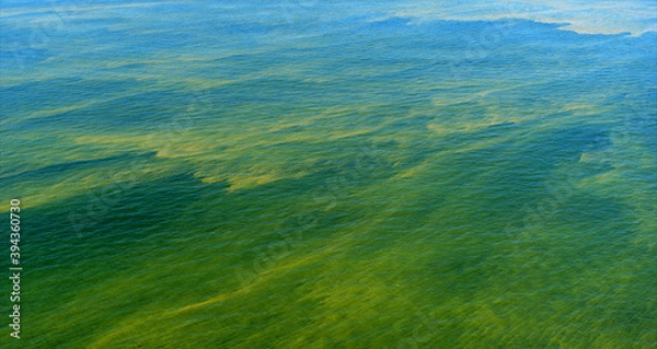 Fototapeta Cyanobacteria blooms in the Baltic Sea during an extreme warm summer