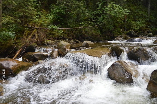 Obraz waterfall in the forest