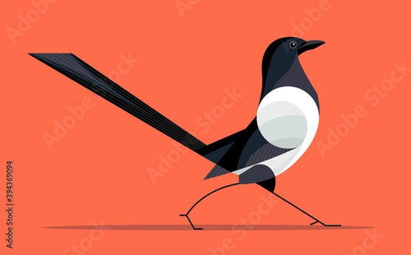 Obraz Arrogant magpie