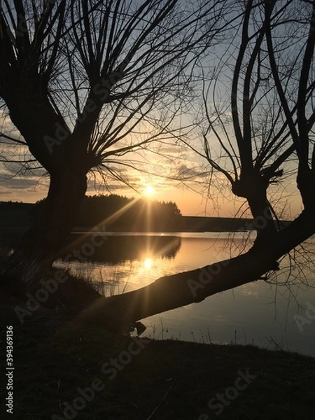 Obraz sunset on the lake