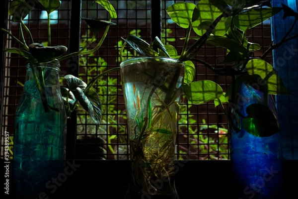 Obraz Beautiful green and blue pattern