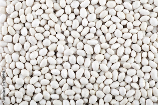 Obraz Dried White Beans