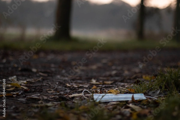 Fototapeta Single use COVID-19 protective face mask disposed in a park during fall