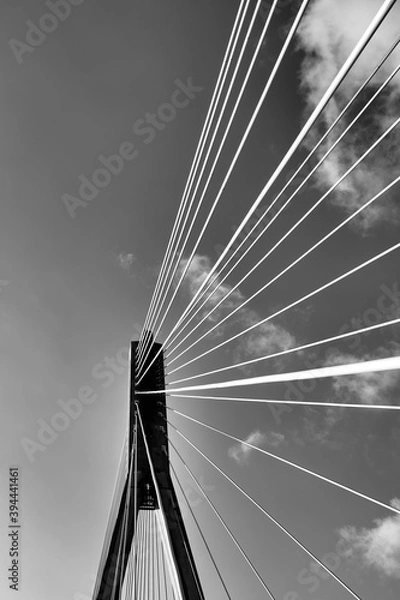 Obraz Czarno białe miasto