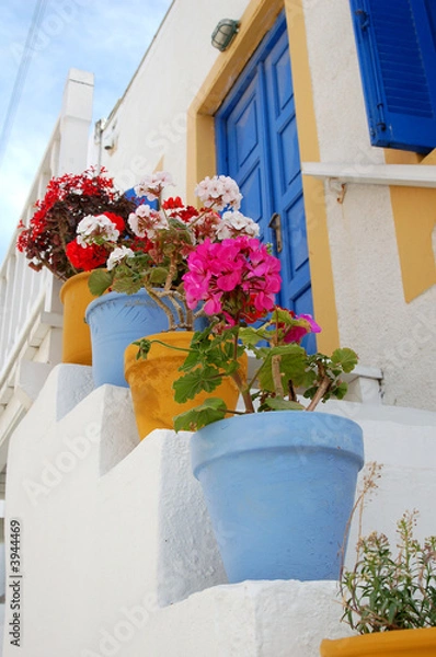 Obraz Kolorowe doniczki