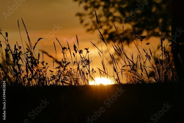 Fototapeta Krajobraz