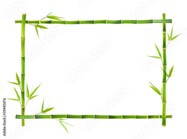 Obraz Rama bambusowa