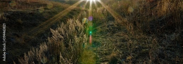 Obraz water drops on the grass