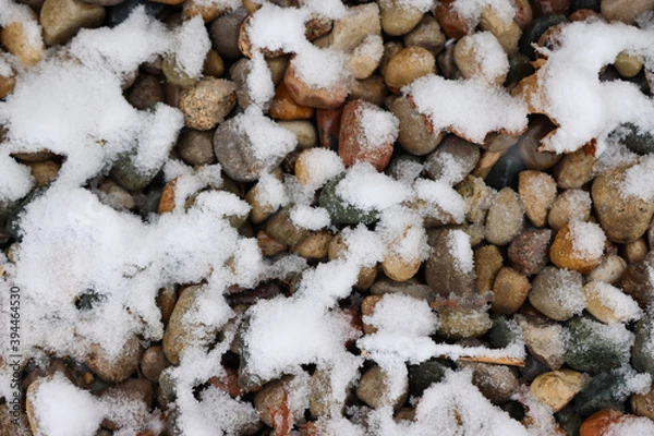 Fototapeta snow on the ground