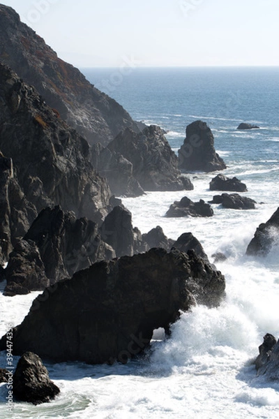Obraz Bodega Bay area along Northern California's rugged coast, Sonoma County