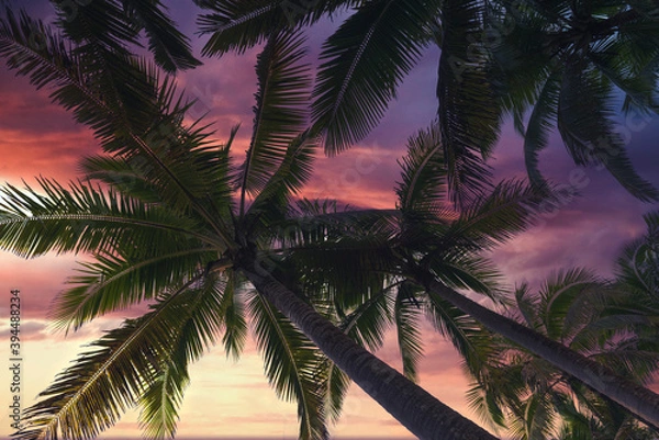 Fototapeta Tropical scenes from the big island of Hawaii with palm trees, rainbows, rain forest and sunset waves.  Magical landscapes and scenics.