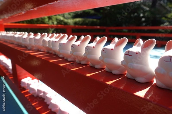 Obraz 岡崎神社のウサギ