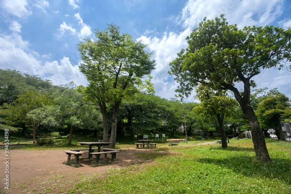 Obraz 梶ケ谷第1公園（神奈川県川崎市高津区）