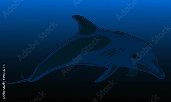 Fototapeta Delfiny 6