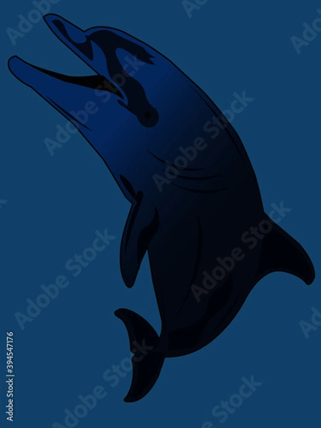 Fototapeta Delfiny 5