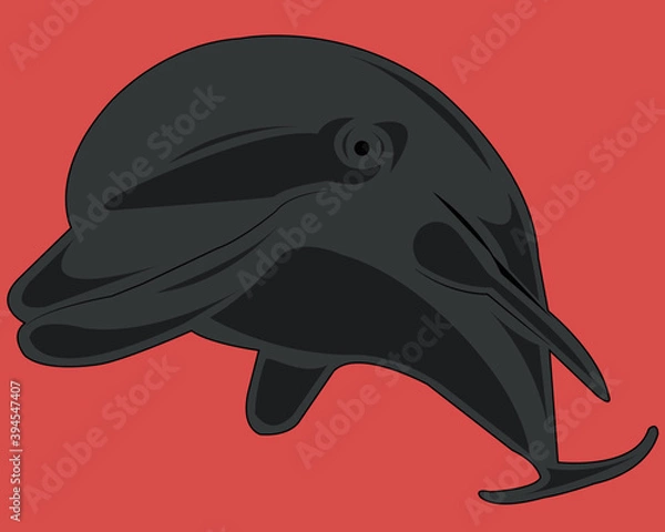 Fototapeta Delfiny 2