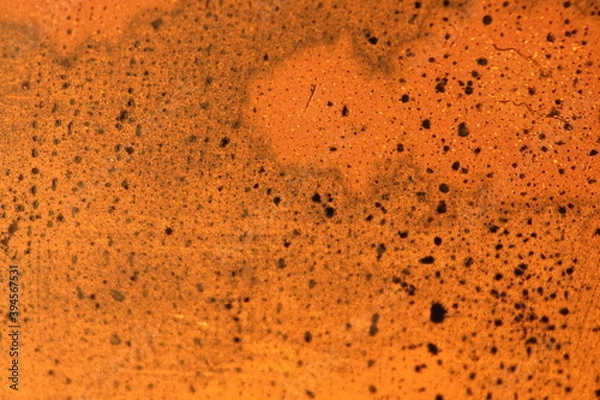 Obraz The glass is illuminated by the sun at sunset