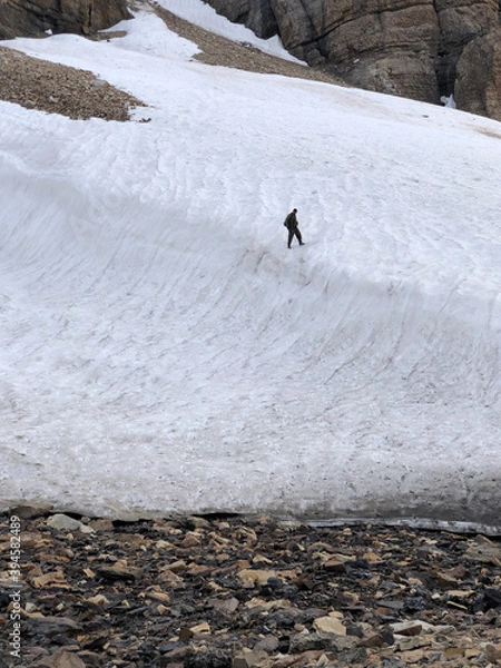 Obraz walking in the snow