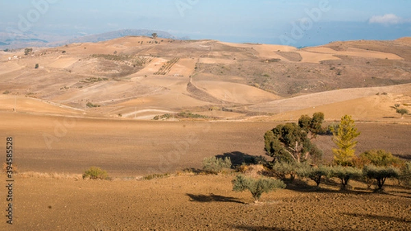 Obraz rural sicily