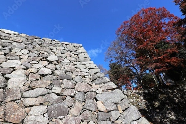 Fototapeta 高取城の紅葉