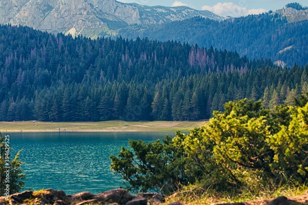 Obraz Mountain lake landscape. Durmitor National Park, Montenegro
