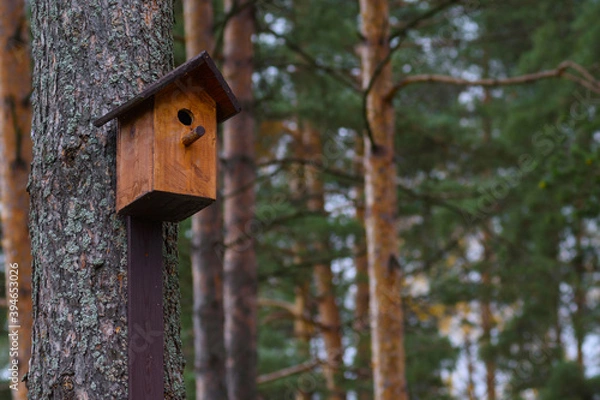 Fototapeta Wooden brown birdhouse on a trunk of a tree in the park. A house for the birds. Bird feeder. Copy space