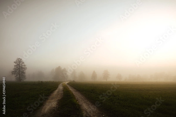 Obraz Country road in the evening mist