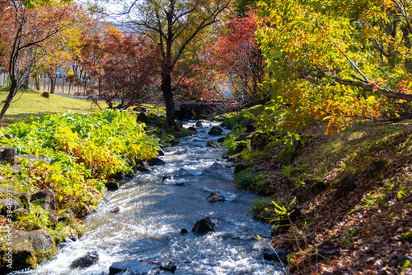 Fototapeta 紅葉の中を流れる小川