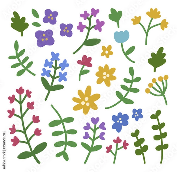Fototapeta set of flowers, vector, hand drawn elements.