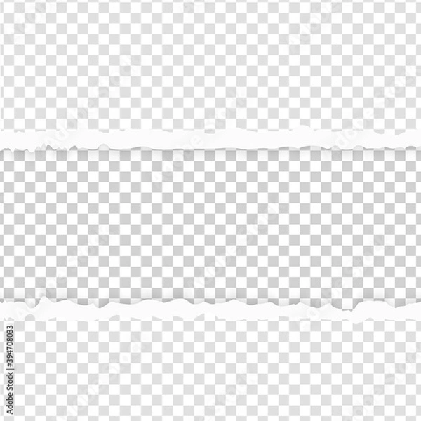 Fototapeta Torn paper cut page. Edge blank background. Vector rip sheet