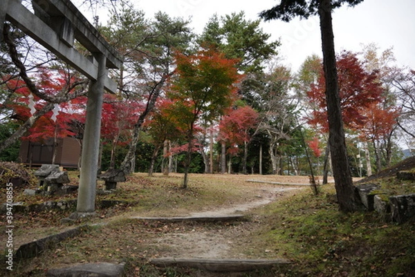 Obraz 紅葉　山梨