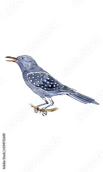 Fototapeta Calling bird for 12 Days of Christmas Charms