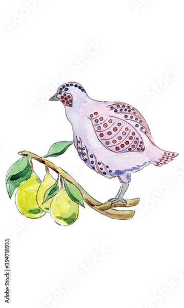Fototapeta Partridge in Pear Tree for 12 Days of Christmas Charms